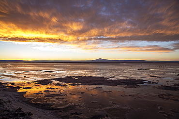 Sunset at Llano de Solaren, Los Flamencos National Reserve, Antofagasta Region, Chile, South America