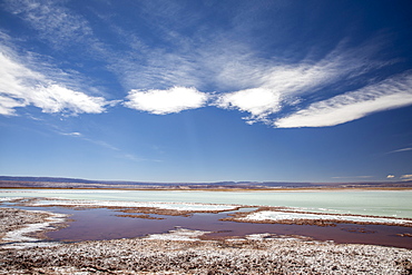 Laguna Tebenquicne, a salt water lagoon in the Salar de Atacama, Los Flamencos National Reserve, Chile, South America