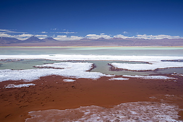 Laguna Tebenquicne, a salt water lagoon in the Salar de Atacama, Los Flamencos National Reserve, Chile, South America