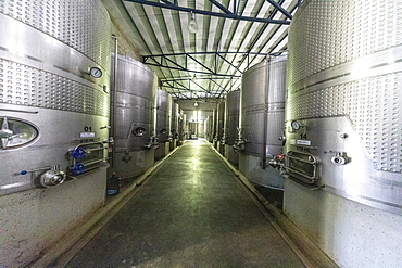 Bodega Colome, a winery located in high Calchaqui valley at 2300 meters above sea level, Salta Province, Argentina, South America