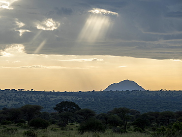 Storm clouds and God's rays in Tarangire National Park, Tanzania, East Africa, Africa