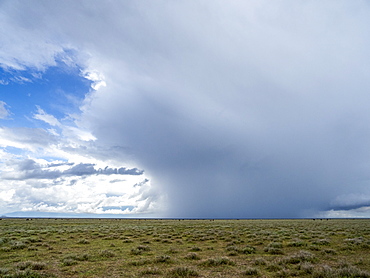 Rain falling on the Serengeti Plains, Serengeti National Park, UNESCO World Heritage Site, Tanzania, East Africa, Africa