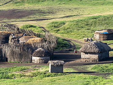 Traditional Maasai village in the Ngorongoro Conservation Area, Tanzania, East Africa, Africa