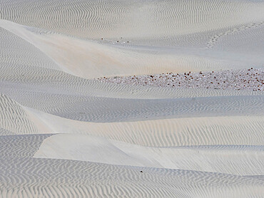 Wind swept barkhan sand dunes on the barrier island of Isla Magdalena, Baja California Sur, Mexico, North America