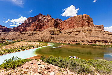 Confluence of the Little Colorado and Colorado Rivers, Grand Canyon National Park, UNESCO World Heritage Site, Arizona, United States of America, North America