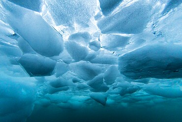 Underwater view of dense brash ice at Cuverville Island, Ererra Channel, Antarctica, Polar Regions