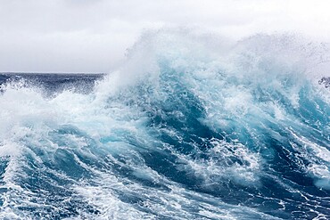 High westerly winds build large waves in the Drake Passage, Antarctica, Polar Regions