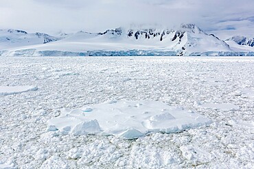 Snow-covered mountains and dense sea ice in Neumayer Channel, Palmer Archipelago, Antarctica, Polar Regions