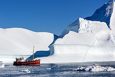 Tours amongst icebergs calved from the Jakobshavn Isbrae glacier, UNESCO World Heritage Site, Ilulissat, Greenland, Polar Regions