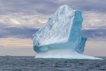 Huge icebergs at Cape Brewster, the easternmost point of the jagged and mountainous Savoia Peninsula, Greenland, Polar Regions