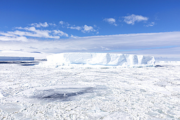 Iceberg amongst winter sea ice breaking up in the Weddell Sea, Antarctica, Polar Regions