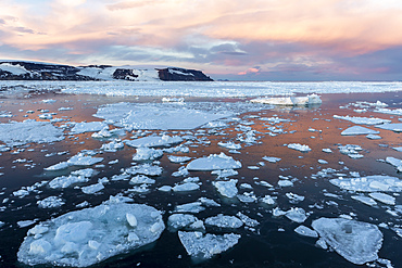 Sunset on first year sea ice near Cogburn Island, Weddell Sea, Antarctica, Polar Regions