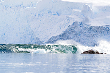 A massive series of waves formed after a huge calving event from the glacier in Neko Harbor, Antarctica, Polar Regions