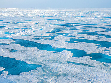 Fast ice with open leads off the east coast of Greenland, Polar Regions