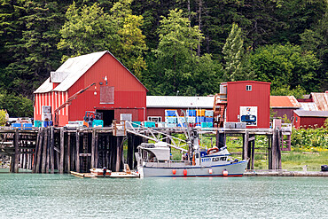 Fish processing plant near the Chilkat River, Haines, Southeast Alaska, United States of America, North America