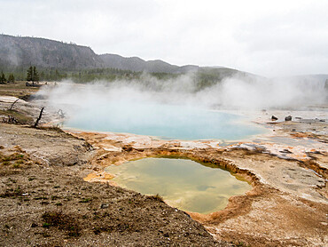 Geothermal mud pot in Biscuit Basin in Yellowstone National Park, UNESCO World Heritage Site, Wyoming, United States of America, North America