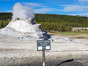 Castle Geyser steaming in Yellowstone National Park, UNESCO World Heritage Site, Wyoming, United States of America, North America