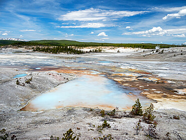 Porcelain Basin, in the Norris Geyser Basin area, Yellowstone National Park, UNESCO World Heritage Site, Wyoming, United States of America, North America