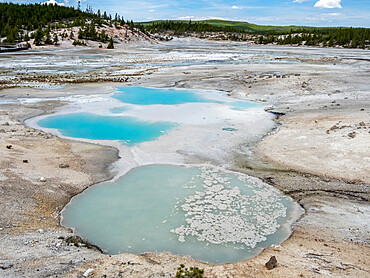 Porcelain Basin, in the Norris Geyser Basin area, Yellowstone National Park, UNESCO World Heritage Site, Wyoming, United States of America, North America