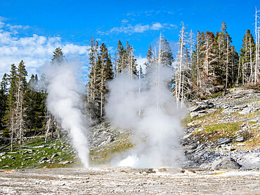 Grand Geyser, in the Norris Geyser Basin area, Yellowstone National Park, UNESCO World Heritage Site, Wyoming, United States of America, North America