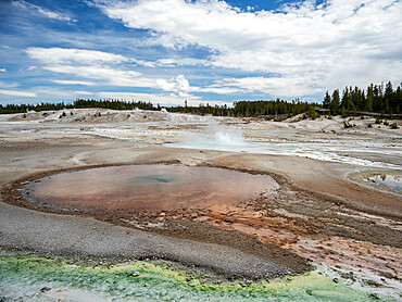 Porcelain Basin, in the Norris Geyser Basin area, Yellowstone National Park, UNESCO World Heritage Site, Wyoming, United States of America, North America