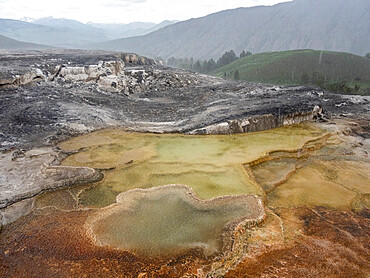 Mammoth Hot Springs Terraces, Yellowstone National Park, UNESCO World Heritage Site, Wyoming, United States of America, North America