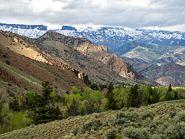 The Washakie Wilderness area within Shoshone National Forest, Wyoming, United States of America, North America