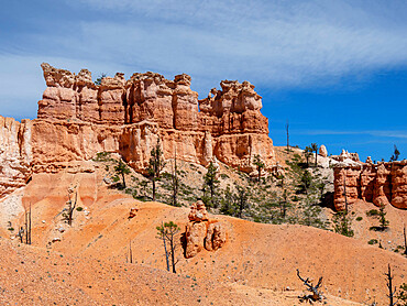 A view of the hoodoos from the Fairyland Trail in Bryce Canyon National Park, Utah, United States of America, North America