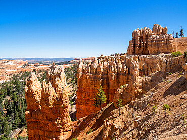 A view of the hoodoos from the Rim Trail in Bryce Canyon National Park, Utah, United States of America, North America