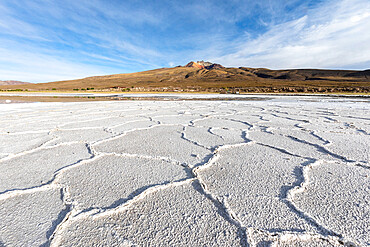 The salt flats near Coqueza, a small town near the Thunupa Volcano, Salar de Uyuni, Daniel Campos Province, Bolivia, South America