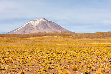 View of the altiplano near Canapa Lake (Laguna Canapa), Potosi Department, southwestern Bolivia, South America