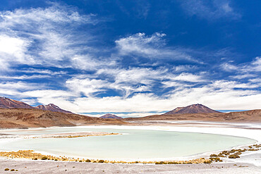 View of the altiplano near Canapa Lake (Laguna Canapa), Potosi Department, southwestern Bolivia, South America