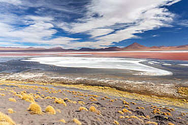 An endorheic salt lake in the altiplano, Eduardo Avaroa Andean Fauna National Reserve, Bolivia, South America