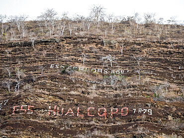 Old ships graffiti painted on the rocks in Tagus Bay on Isabela Island, Galapagos, Ecuador, South America