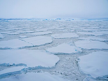 Stormy weather over pack ice and icebergs near Adelaide Island, Antarctica, Polar Regions