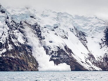 An avalanche of falling ice on Thule Island, a volcanic island in the South Sandwich Islands, South Atlantic, Polar Regions