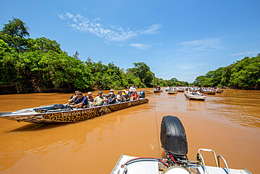 Excited tourists watching and photographing jaguars on the Rio Negro, Mato Grosso, Pantanal, Brazil, South America