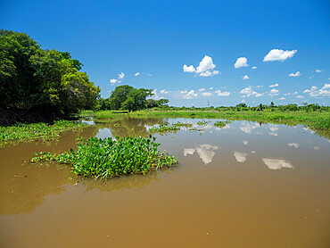 A view of the river called Rio Tres Irmao, Mato Grosso, Pantanal, Brazil, South America