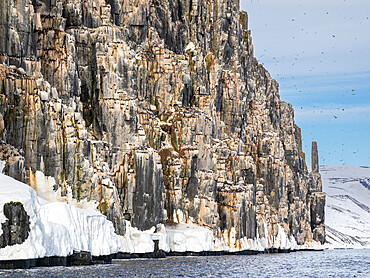 The famous bird cliffs at Alkefjellet, literally meaning Mountain of the Guillemots, Svalbard, Norway, Europe