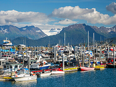 Commercial fishing boats of all kinds and sizes in Homer Harbor in Kachemak Bay, Kenai Peninsula, Alaska, United States of America, North America