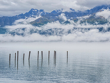 Old pilings in Resurrection Bay, gateway to the Kenai Fjords in Kenai Fjords National Park, Alaska, United States of America, North America