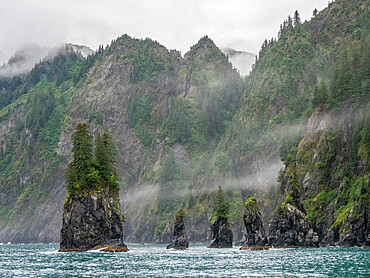 A view of Spire Cove in Resurrection Bay in Kenai Fjords National Park, Alaska, United States of America, North America