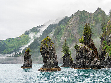 A view of Spire Cove in Resurrection Bay in Kenai Fjords National Park, Alaska, United States of America, North America