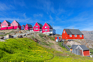 Colorfully painted houses in the city of Sisimiut, Greenland, Denmark, Polar Regions