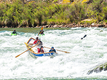 Commercial dory runs the Deubendorff Rapid, just past river mile 132, Grand Canyon National Park, Arizona, United States of America, North America