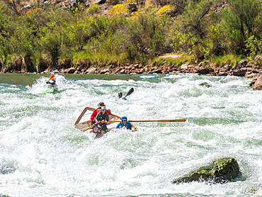 Commercial dory runs the Deubendorff Rapid, just past river mile 132, Grand Canyon National Park, Arizona, United States of America, North America