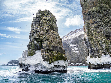 Birds covering a sea stack at the cliffs at the southern end of the island of Bjornoya, Svalbard, Norway, Europe