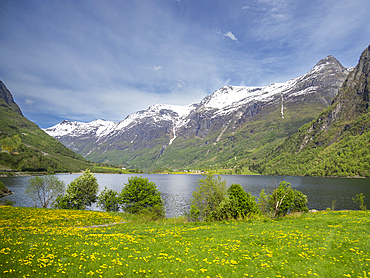 A view of houses along the shore of Lake Oldevatnet, within the Oldedalen River Valley, Vestland, Norway, Scandinavia, Europe