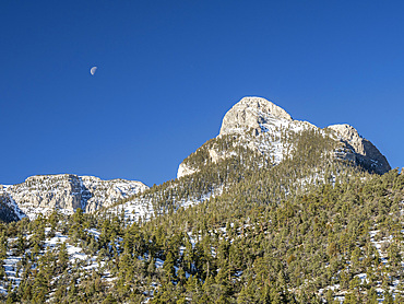 Snow-covered Spring Mountains National Recreation Area, Humboldt-Toiyabe National Forest, Nevada, United States of America, North America