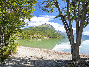 View of the Andes Mountains and Notofagus forest in Lago Acigami, Tierra del Fuego, Argentina, South America